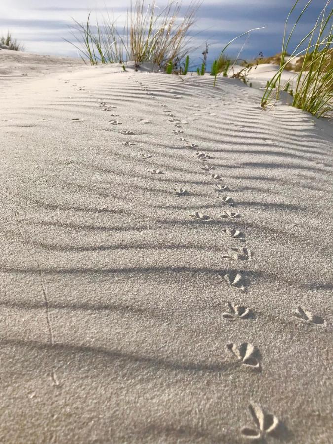 Case Vacanze Il Sogno 2 Porto Pino Exteriér fotografie
