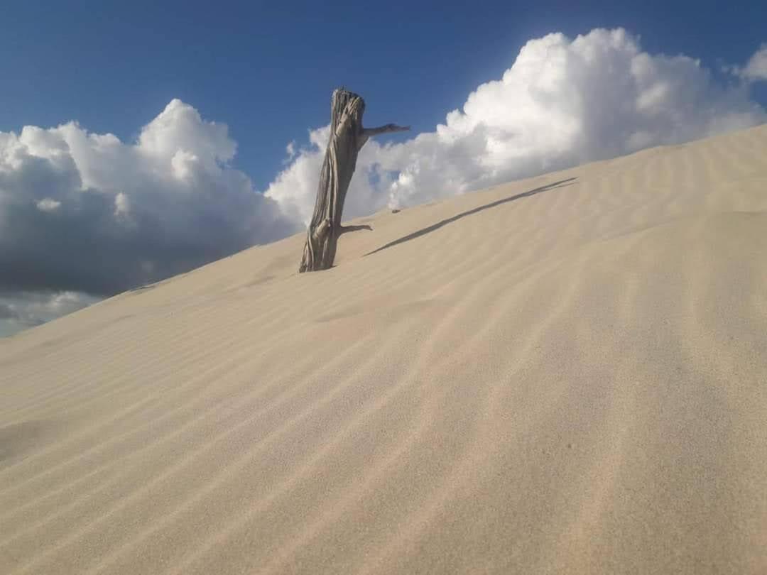 Case Vacanze Il Sogno 2 Porto Pino Pokoj fotografie